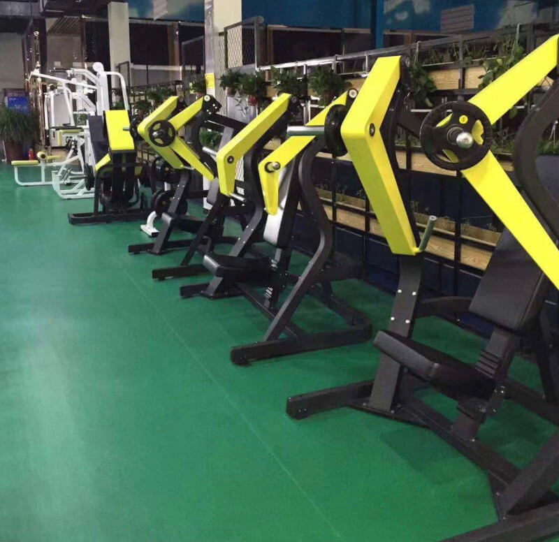 Professional Gym Equipment Brands Clearance, 55% OFF | www.naudin.be