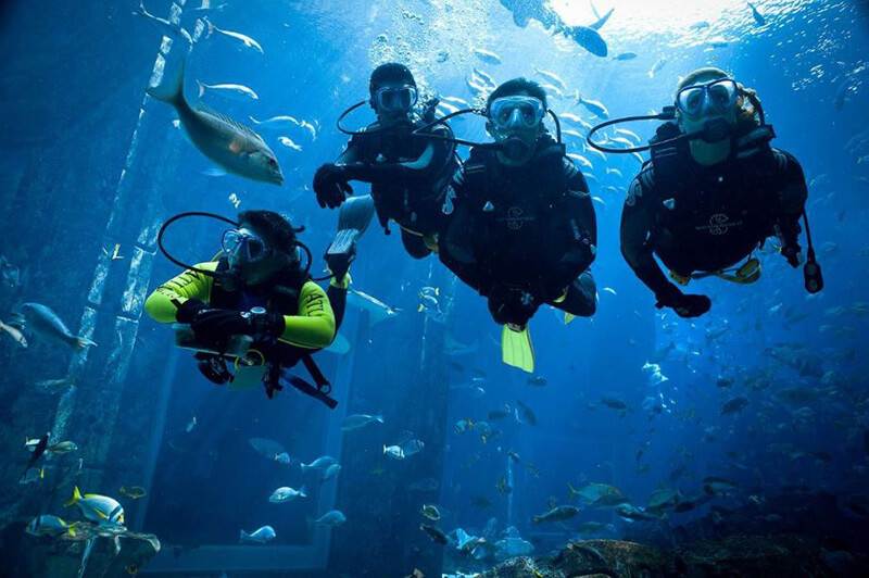 Top 101 Best Dive Watches Under 200