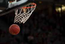 6 Jaw-Dropping Basketball Facts You Need To know Basketball Facts