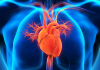 Tips To Finding Great Cardiology Jobs Great Cardiology Jobs